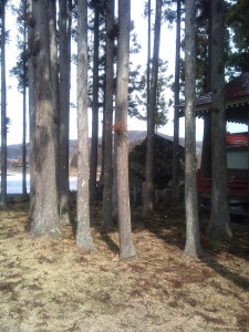 巌神社