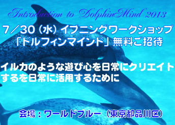 dolphinmind0730